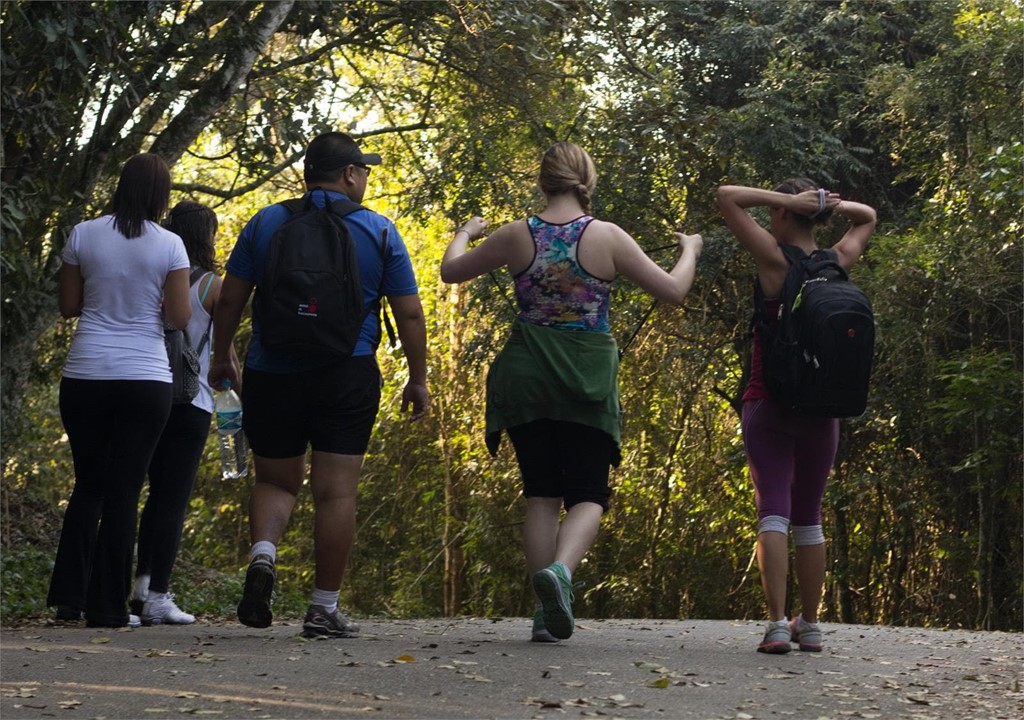 Prepare sus pies para comenzar el Camino de Santiago