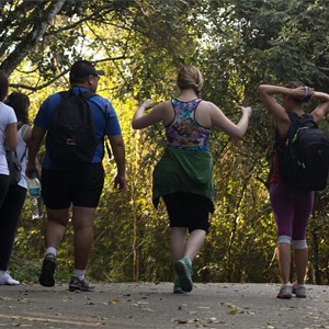 Prepare sus pies para comenzar el Camino de Santiago